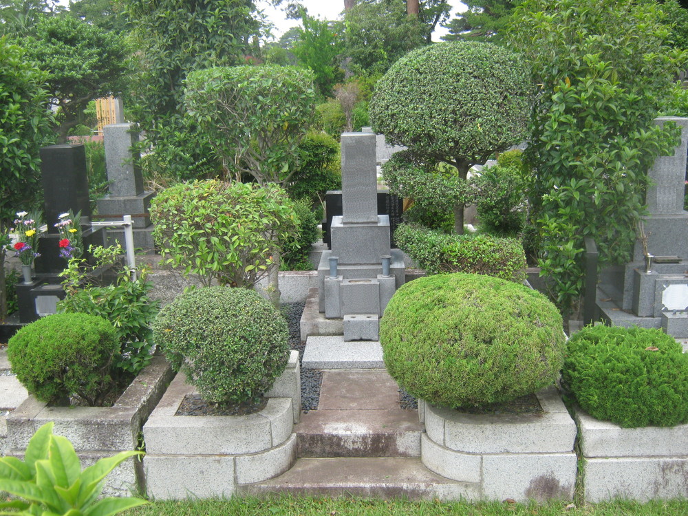 多磨霊園植木の手入れ 多磨霊園ご利用トータルサポート